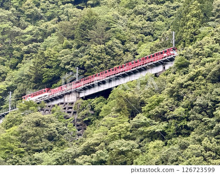 紅色的火車穿梭在綠意盎然的樹林中 紅色的火車穿梭在綠意盎然的樹林中 126723599