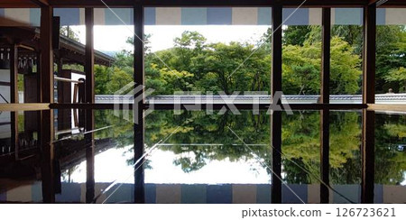 報德寺，夏季楓葉[群馬縣桐生市] 126723621