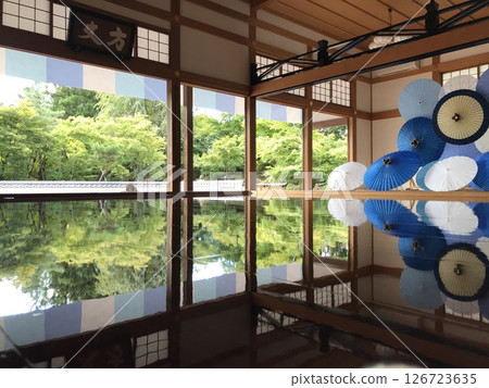 報德寺、夏季楓葉和日本傘[群馬縣桐生市] 126723635