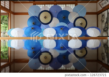 Hotokuji Temple, summer maple leaves and Japanese umbrellas [Kiryu City, Gunma Prefecture] 126723721