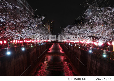 Illuminated cherry blossoms in spring 126723722