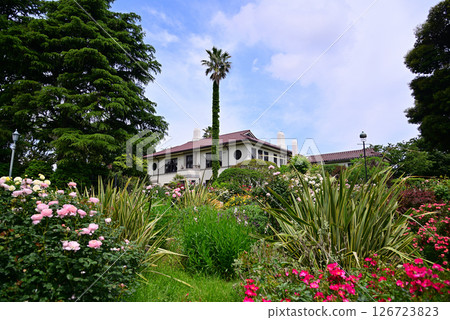 Roses of May Roses of May 126723823