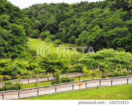 Urido自然公園(市原市) Urido自然公園(市原市) 126723913
