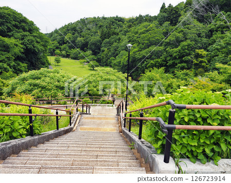 Urido Natural Park (Ichihara City) 126723914