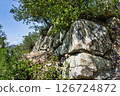 Hikida Castle ruins 126724872