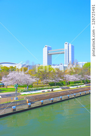Spring in Nagoya, Aichi Prefecture, with cherry blossoms in full bloom and the Nagoya International Conference Center 126725491