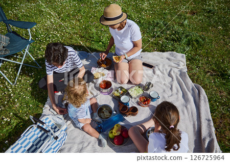 A family enjoys an outdoor picnic on a sunny day in a field. They are seated on a blanket, sharing food, surrounded by green grass and cheerful atmosphere. 126725964