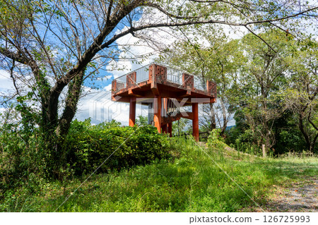 Scenery from Tenjinyama Park Observatory Scenery from Tenjinyama Park Observatory 126725993