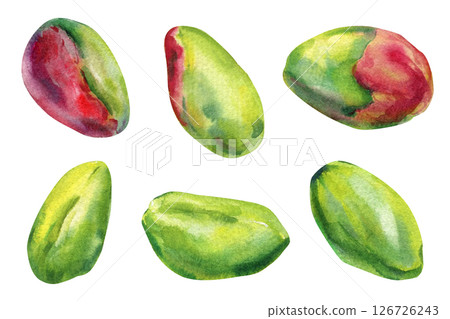 Watercolor pistachio nuts set, hand painted green and red pistachios, realistic isolated food clipart, healthy snack illustration Watercolor pistachio nuts set, hand painted green and red pistachios, realistic isolated food clipart, healthy snack illustration 126726243