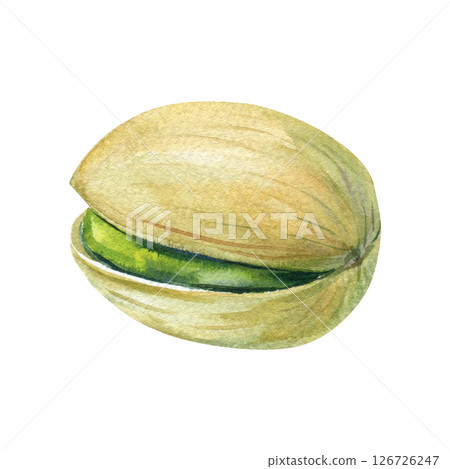 Watercolor pistachio nut in shell, single green pistachio, hand painted realistic food illustration, isolated snack clipart 126726247