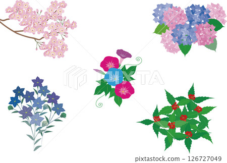 Illustrations of flowers representing the Japanese seasons: spring, summer, autumn and winter Illustrations of flowers representing the Japanese seasons: spring, summer, autumn and winter 126727049