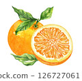 Orange fruit watercolor isolated on white background. Set of healthy food hand-drawn illustration 126727061
