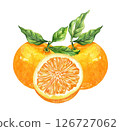 Orange fruit watercolor isolated on white background. Set of healthy food hand-drawn illustration 126727062