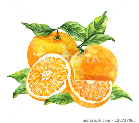 Orange fruit watercolor isolated on white background. Set of healthy food hand-drawn illustration 126727063