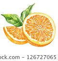 Orange fruit watercolor isolated on white background. Set of healthy food hand-drawn illustration 126727065