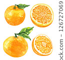 Orange fruit watercolor isolated on white background. Set of healthy food hand-drawn illustration 126727069