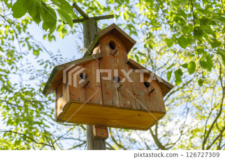 A handcrafted wooden birdhouse hangs on a tree branch, its rustic design blending with vibrant green leaves. The setting is bright and sunny, characteristic of springtime in a local park 126727309
