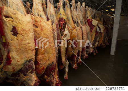 Storage of cold meat in meat production. Meat industry or factory. Storage of cold meat in meat production. Meat industry or factory. 126728751