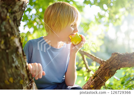 A cute blonde white teenage boy is having fun on a tree in a sunny garden. A preteen kid climbed an apple tree to pick an apple 126729366