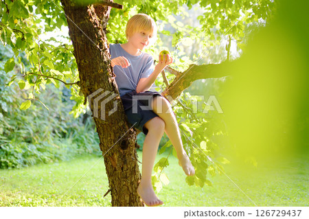 A cute blonde white teenage boy is having fun on a tree in a sunny garden. A preteen kid climbed an apple tree to pick an apple A cute blonde white teenage boy is having fun on a tree in a sunny garden. A preteen kid climbed an apple tree to pick an apple 126729437