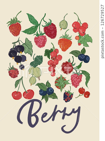 Vector fruit poster of strawberry, raspberry and cherry. Hand-drawn garden harvest sketch. Tasty food illustration for restaurant and cafe interior, fruit market drawing print, fabric or background. Vector fruit poster of strawberry, raspberry and cherry. Hand-drawn garden harvest sketch. Tasty food illustration for restaurant and cafe interior, fruit market drawing print, fabric or background. 126729527