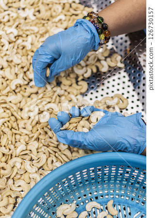 workers sorting cashew nuts at modern industrial agriculture factory in cambodia 126730157