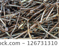 Rusty twisted nails extracted from wood. 126731310