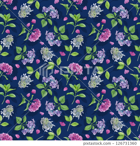 Hydrangea flowers pattern. Watercolor of pink, purple and white flowers with shadows and pink petals on a dark blue background. Good for postcards, invitations, greeting cards, wallpaper, textiles 126731360