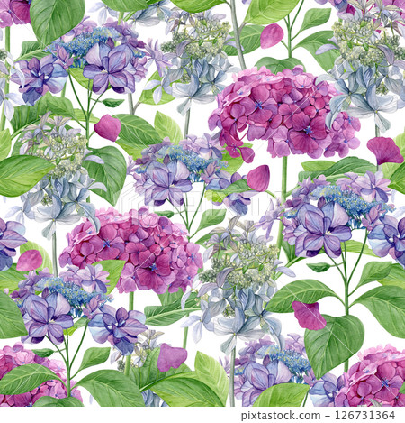 Hydrangea flowers pattern. Watercolor of pink, purple and white flowers and pink petals isolated on a white background. Good for postcards, invitations, greeting cards, wallpaper, textiles 126731364