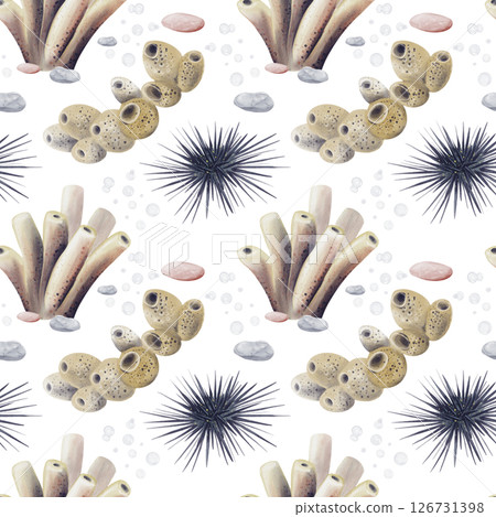 Seamless pattern with sea urchins. Corals and sea sponges on the bottom. Oceanarium. Coral reef. Watercolor illustration without background. Hand drawing. High quality illustration 126731398