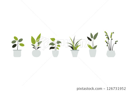 plant in a pot nature garden decoration houseplant green tropical leaf flower. vector collection vegetation foliage leaves botanical design potted interior home. isolated natural botany decor. 126731952