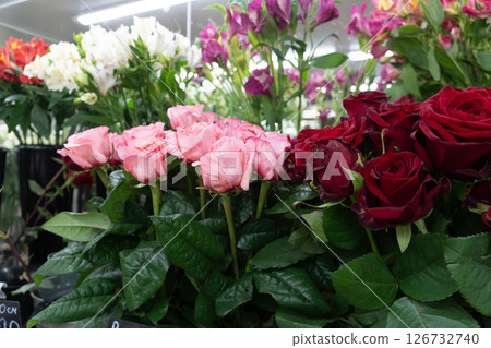 Pink roses with delicate petals, arranged among various floral species in a flower shop. Romance, retail floral sales, wedding planning 126732740