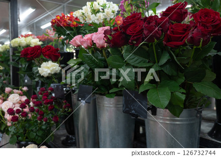 Assorted fresh roses in shades of red, pink, and white arranged in metal buckets on display in a florists shop 126732744