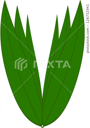 Beautiful shape and green colors tone of fresh plant leaves. 126732941