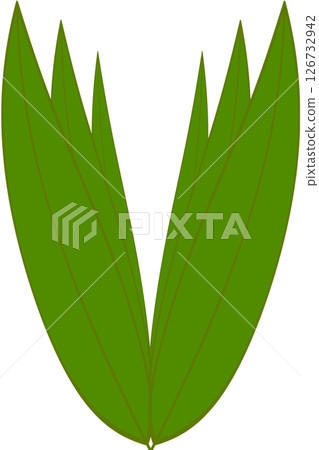 Beautiful shape and green colors tone of fresh plant leaves. Beautiful shape and green colors tone of fresh plant leaves. 126732942