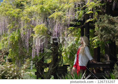 Wisteria Woman Garden: Blonde girl relaxes under blooming wisteria in a garden on a bright day for peace. 126733207