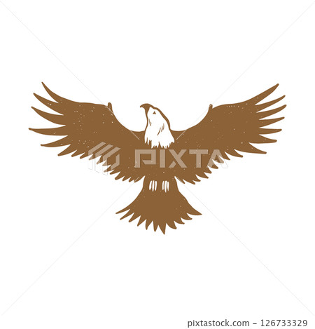 Logo, eagle emblem. A large eagle flies with outstretched wings. Vintage engraving isolated eagle illustration ink sketch. Graphic outline illustration. Hand drawn vector image 126733329
