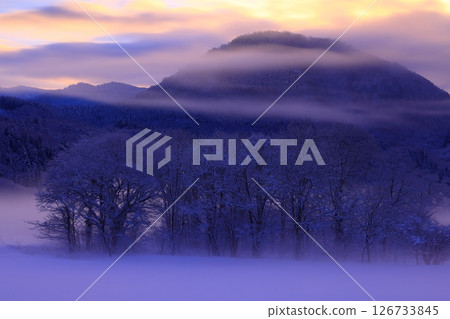 Rime-colored trees and river mist in the morning sun Rime-colored trees and river mist in the morning sun 126733845