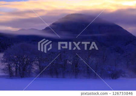 Rime-colored trees and river mist in the morning sun Rime-colored trees and river mist in the morning sun 126733846