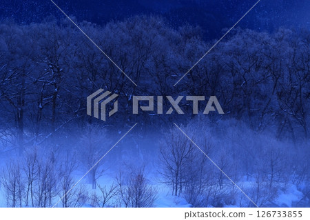 Rime-colored trees and river mist in the morning sun Rime-colored trees and river mist in the morning sun 126733855