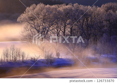 晨曦中的霧凇色樹與河霧 126733870