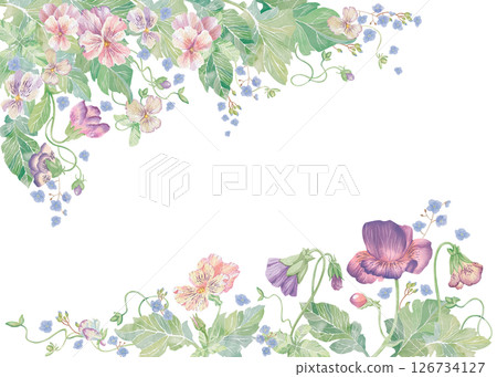 Violets flowers and forget-me-nots. Watercolor clipart illustration of top and bottom floral frame on white background. For invitations, postcards, business cards. Decorating cups, dishes, etc. Violets flowers and forget-me-nots. Watercolor clipart illustration of top and bottom floral frame on white background. For invitations, postcards, business cards. Decorating cups, dishes, etc. 126734127