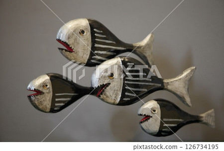 predatory fish piranha predatory fish piranha 126734195