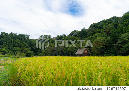 [World Heritage] Shirakawa-go in early autumn with ripe rice [Gifu Prefecture] 126734897