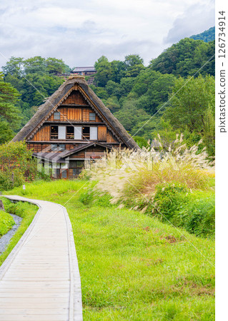 [World Heritage] Shirakawa-go in early autumn with ripe rice [Gifu Prefecture] 126734914