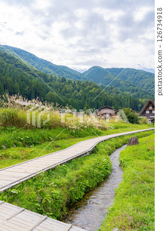 [World Heritage] Shirakawa-go in early autumn with ripe rice [Gifu Prefecture] 126734918