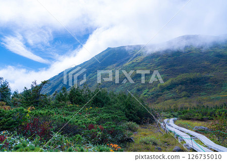 【山素材】初秋的天狗原和雲海【長野縣】 【山素材】初秋的天狗原和雲海【長野縣】 126735010