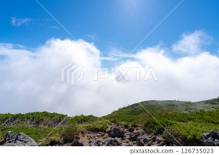 [Mountain material] Tenguhara and sea of clouds in early autumn [Nagano Prefecture] 126735023