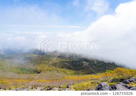 [Mountain material] Tenguhara and sea of clouds in early autumn [Nagano Prefecture] 126735026