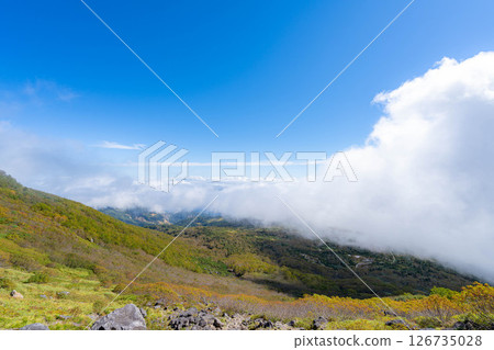 [Mountain material] Tenguhara and sea of clouds in early autumn [Nagano Prefecture] 126735028
